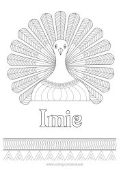Kolorowanka do personalizacji Święto Dziękczynienia Paw Zentangle Ptaki i latające ssaki Indyk na Święto Dziękczynienia