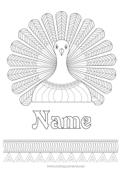 Colouring to customise Thanksgiving Animal Peacock Zentangle Birds And Flying Mammals Thanksgiving Turkey