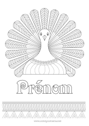 Coloriage gratuit Thanksgiving Paon Zentangle Oiseaux et mammifères volants Dinde de Thanksgiving