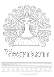 Gratis kleurplaat Dankzegging Pauw Zentangle Vogels en vliegende zoogdieren Thanksgiving-kalkoen