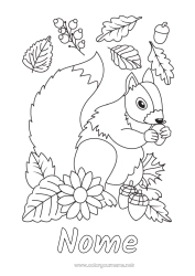 Desenho para personalizar Esquilo Outono Animal Animais da floresta Glândula Folhas secas