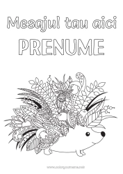Pagină de colorat personalizată Arici Toamnă Animal Frunze Zentangle Animale din pădure