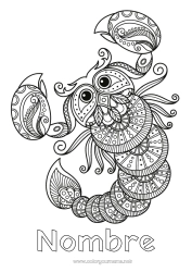 Colorear para personalizar Animales Zentangle Signo astrológico Animales salvajes de África Escorpión Signos del zodiaco