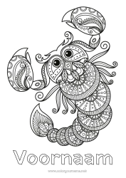 Gratis tekening Dier Zentangle Sterrenbeeld Wilde dieren van Afrika Schorpioen Sterrenbeelden