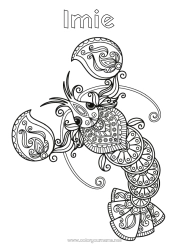 Kolorowanka do personalizacji Zentangle Znak zodiaku Znaki zodiaku