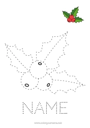 Free colouring Children's activities Holly Easy colouring pages Trace and colour. Colouring with template