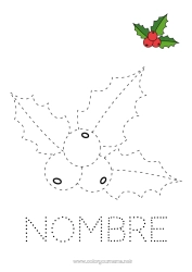 Colorear para personalizar Actividades para niños Acebo Dibujos fáciles para colorear Trazo y color Colorear con Modelo