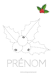Coloriage gratuit Activités enfants Houx Coloriages faciles Trace et colorie Coloriage avec modèle