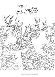 Kolorowanka do personalizacji Renifer Zwierzę Złożone kolorowanki Zentangle Zwierzęta leśne Jeleń