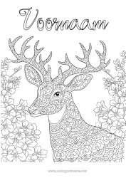 Gratis tekening Rendier Dier Complex Kleurplaten Zentangle Bosdieren Hert