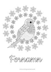 Färgläggningssida att anpassa Snö Vinter Fågel Snöflingor Komplexa målarbilder Fåglar och flygande däggdjur Rödhake