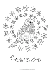 Farvelægningssiden tilpasning Sne Vinter Fugl Snefnug Komplekse farvelægninger Fugle og flyvende pattedyr Rødhals