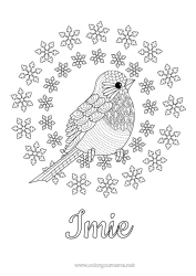 Kolorowanka do personalizacji śnieg Zima Ptak Płatki śniegu Złożone kolorowanki Ptaki i latające ssaki Rudzik