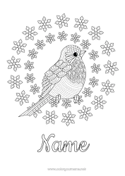 Free coloring Snow Winter Bird Snowflakes Complex coloring pages Flying birds and mammals Robin