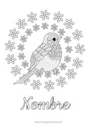 Colorear gratis Nieve Invierno Pájaro Copos de nieve Animales Dibujos complejos para colorear Aves y mamíferos voladores Petirrojo