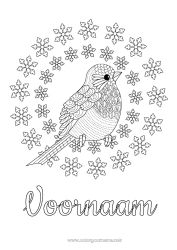 Gratis kleurplaat Sneeuw Winter Vogel Sneeuwvlokken Dier Complex Kleurplaten Vogels en vliegende zoogdieren Roodborst