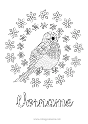Kostenlose Malvorlage Schnee Winter Vogel Schneeflocken Tier Komplexe Ausmalbilder Vögel und fliegende Säugetiere Rotkehlchen