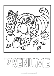 Pagină de colorat personalizată Dovleac Ziua Recunoștinței Fructe Măr Gland Cornul abundenței