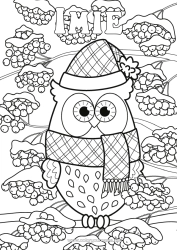 Kolorowanka do personalizacji Śnieg Zima Sowa, Puszczyk Ptaki I Latające Ssaki Szyszka Szalik Czapka Zimowa