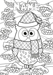 Free coloring Snow Winter Owl Animal Flying birds and mammals Pinecone Scarf Winter Hat