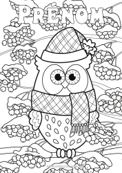 Coloriage à personnaliser Neige Hiver Chouette, Hibou Oiseaux et mammifères volants Pomme de pin écharpe Bonnet d'hiver