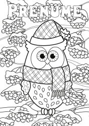 Pagină de colorat personalizată Zăpadă Iarna Bufniță, Uluce. Păsări Și Mamifere Zburătoare Con De Pin Fular Căciulă De Iarnă