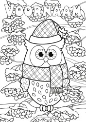 Kleurplaat aanpassen Sneeuw Winter Uil, Kerkuil Dier Vogels En Vliegende Zoogdieren Dennenappel Sjaal Wintermuts