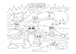 Disegno gratuito Orso Animale Foca Animali marini o acquatici Animali della foresta Banchisa Orso polare
