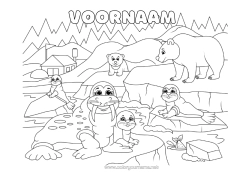 Gratis kleurplaat Beer Dier Zeehond Zeedieren Bosdieren Ijsplaat IJsbeer