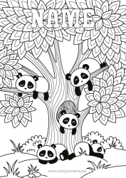 Colouring to customise Calm And Zen Animal Panda Tree Complex Colouring Pages Zentangle Other Animals Of The World