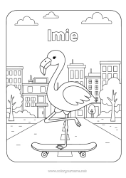 Kolorowanka do personalizacji Różowy Flaming Ptaki I Latające Ssaki Krajobraz Miejski Deskorolka