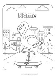 Free colouring Animal Pink flamingo Birds and flying mammals Cityscape Skateboard