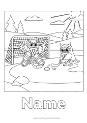Colouring to customise Sport Owl, Tawny Owl Animal Birds And Flying Mammals Team Sports Hockey Winter Sports Skating