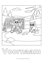 Gratis kleurplaat Uil, Kerkuil Vogels en vliegende zoogdieren Teamsporten Hockey Wintersporten Kunstschaatsen