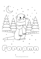 Gratis teckning Snö Vinter Marina djur eller vattenlevande djur Sjal Utter