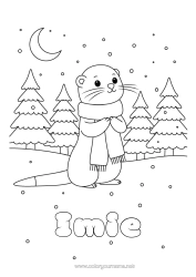 Rysunek za darmo śnieg Zima Zwierzęta morskie lub wodne Szalik Wydra