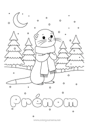Coloriage à personnaliser Neige Hiver Animaux marins ou aquatique écharpe Loutre