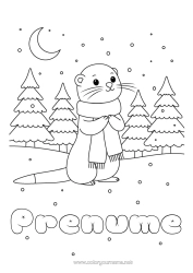 Desen liber de colorat Zăpadă Iarna Animale marine sau acvatice Fular Vidra