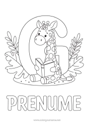 Pagină de colorat gratuită Girafă Carte Animale sălbatice din Africa Lectură Litera alfabetului