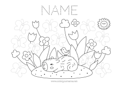 Colouring to customise Flowers Spring Butterfly Children's Activities Animal Tulip Trace And Colour. Insects Other Animals Of The World Capybara