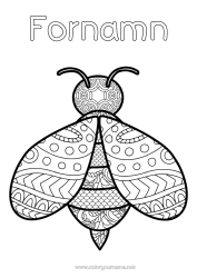 Gratis färgläggning Bi Zentangle Insekter