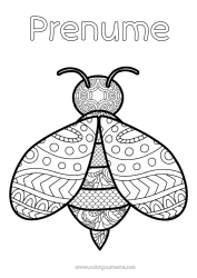 Pagină de colorat gratuită Albină Zentangle Insecte