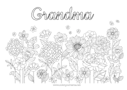 Free coloring Flowers Spring Daisy