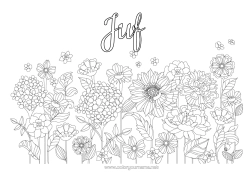 Gratis kleurplaat Bloemen Lente Madeliefje
