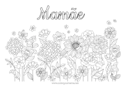 Desenho grátis Flores Primavera Margarida