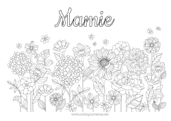 Coloriage gratuit Fleurs Printemps Marguerite