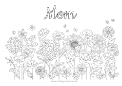 Free coloring Flowers Spring Daisy