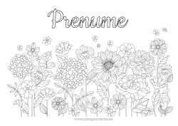 Pagină de colorat gratuită Flori Primăvară Margareta