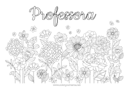 Desenho grátis Flores Primavera Margarida