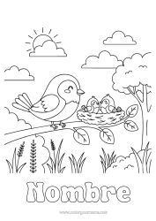 Colorear gratis Pájaro Aves y mamíferos voladores Nido de pájaro Familia de animales Bebé animal